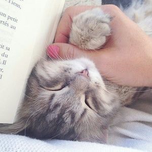 Meet your Posher, Jasmine