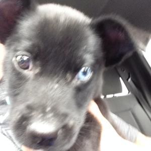 Meet your Posher, Mark