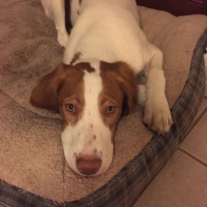 Meet your Posher, Anne