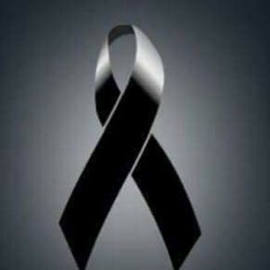 Meet your Posher, Romy