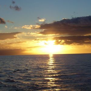 Meet your Posher, Randy