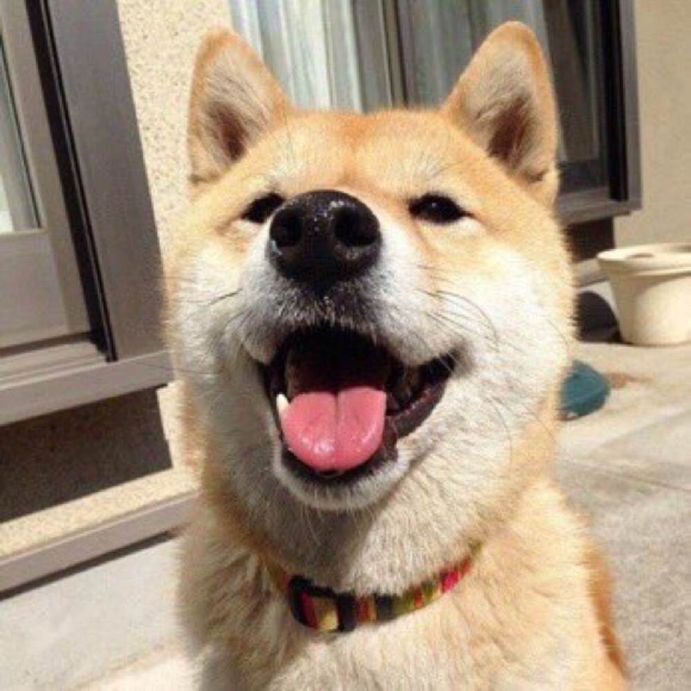 Meet your Posher, Jordan