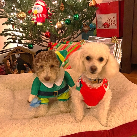 🐾About Me🐾 - Picture 2 of 2