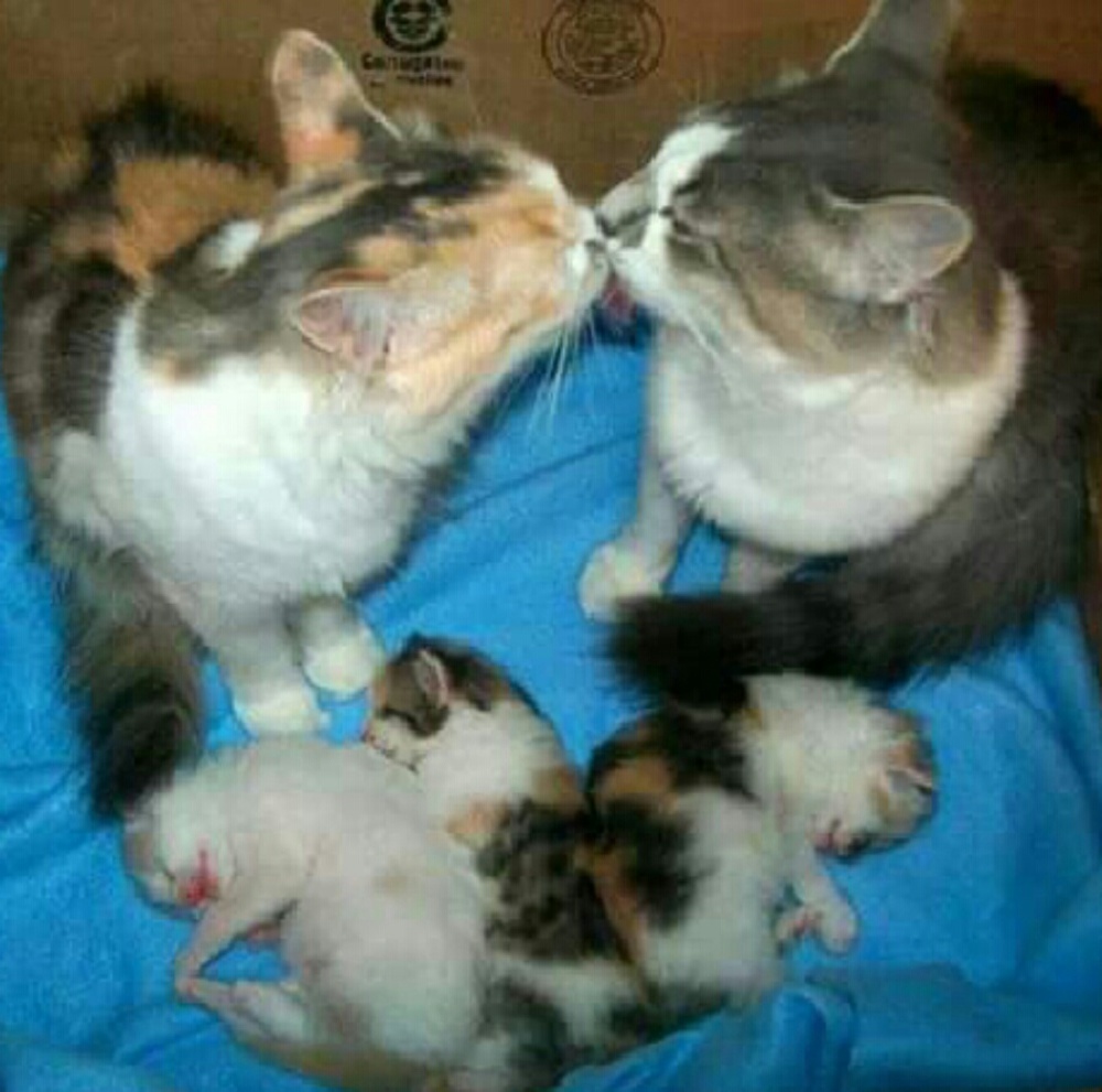 Meet your Posher, Kandace