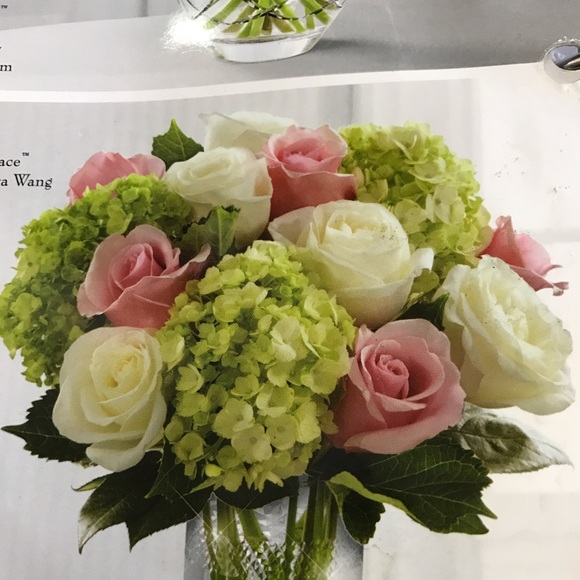 Meet your Posher, Verita - Picture 1 of 1