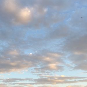 Meet your Posher, Yvette