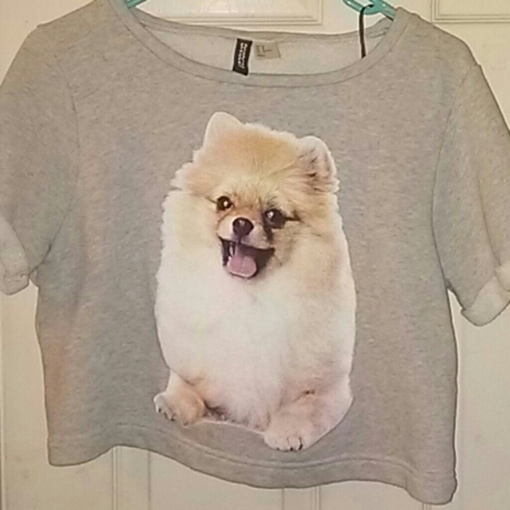 Dog crop top