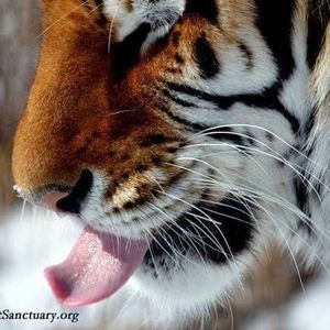 Meet your Posher, Ruthann