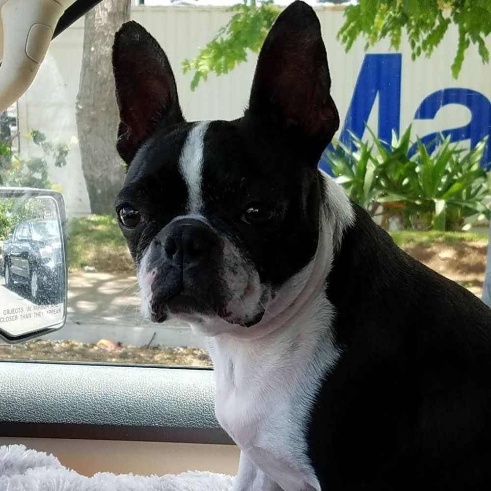 Meet your Posher, Dee ann