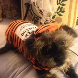 Meet your Posher, Margaret