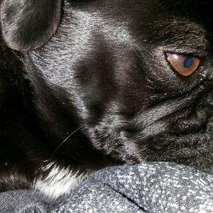 Meet your Posher, Jennifet