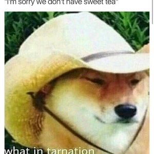 Meet your Posher, Alisha