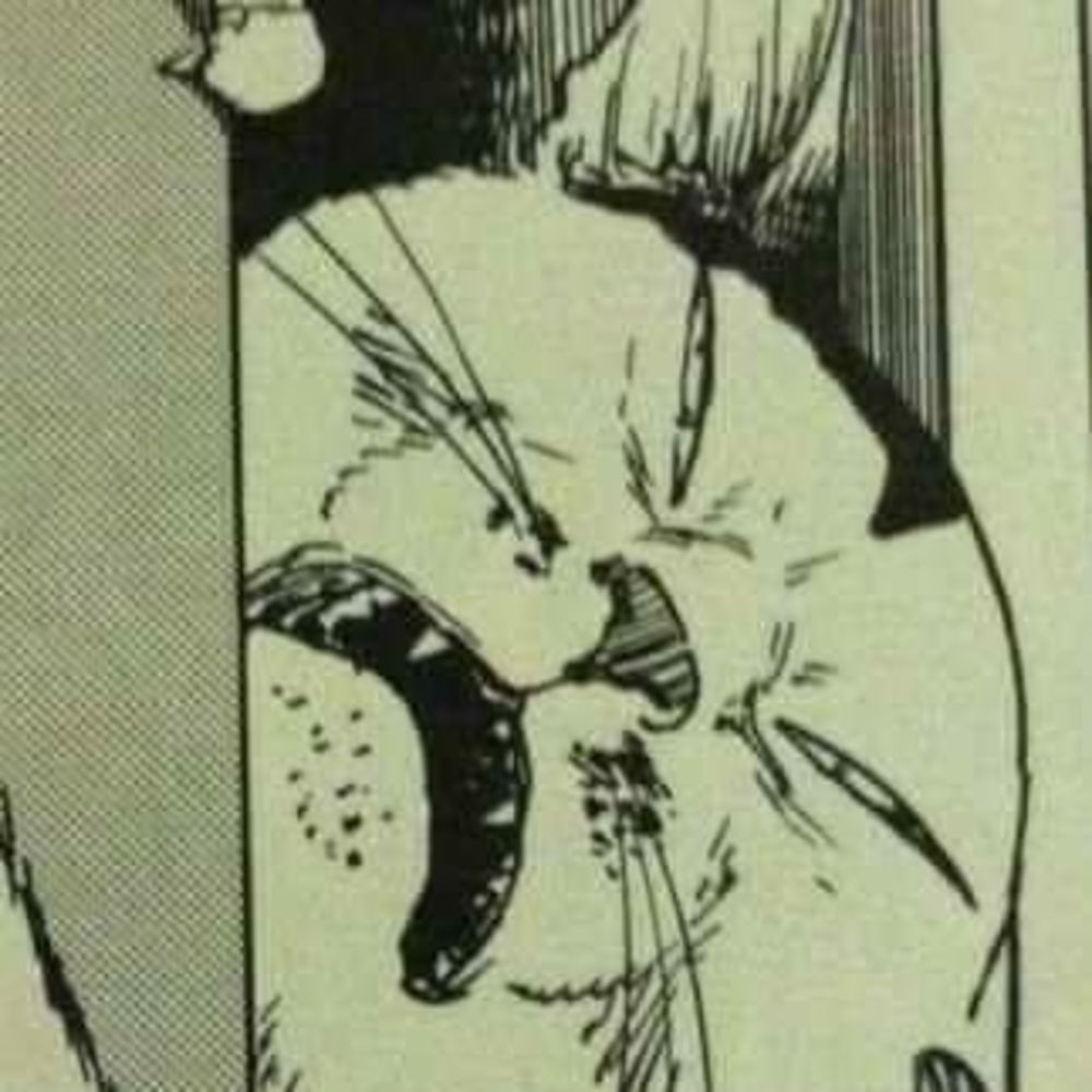 Meet your Posher, Morgan