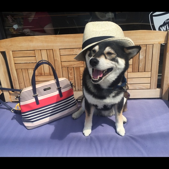 💗Meet Your Posher💗 - Picture 2 of 4