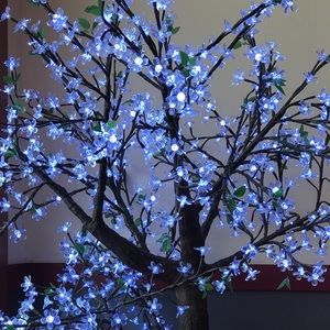 Meet your Posher, Mingyu