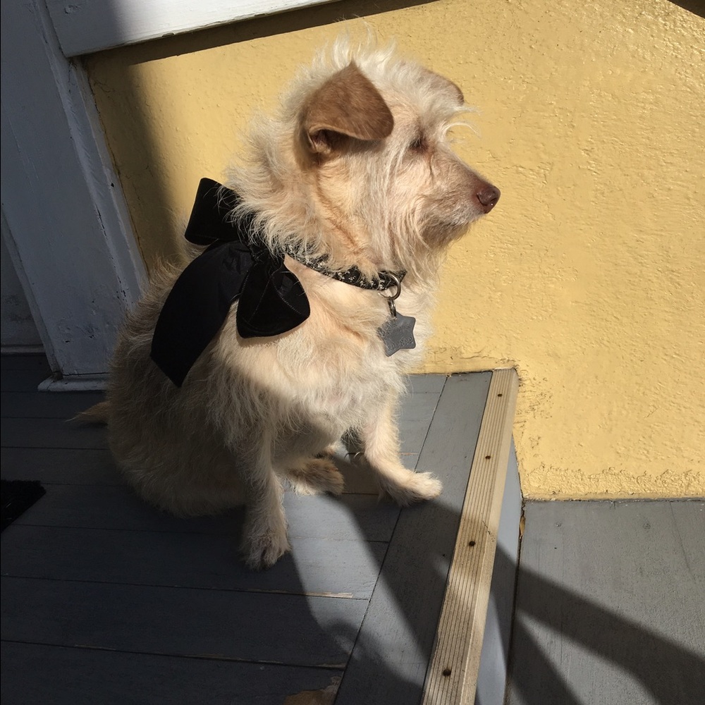 Meet your Posher, Meredith