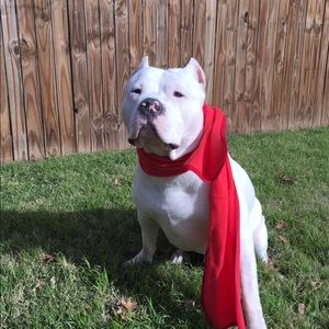 Meet your Posher, Cecilia