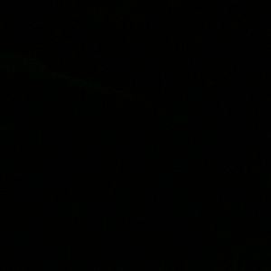 Meet your Posher, Mayra