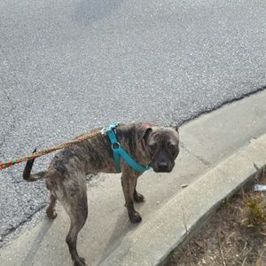 Meet your Posher, Grace