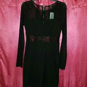 Sheer Forever 21 Dress