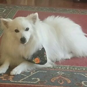 Meet your Posher, Erica