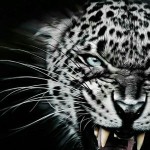 Meet your Posher, Gina