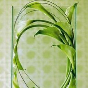 Meet your Posher, Karla