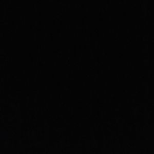 Meet your Posher, Son