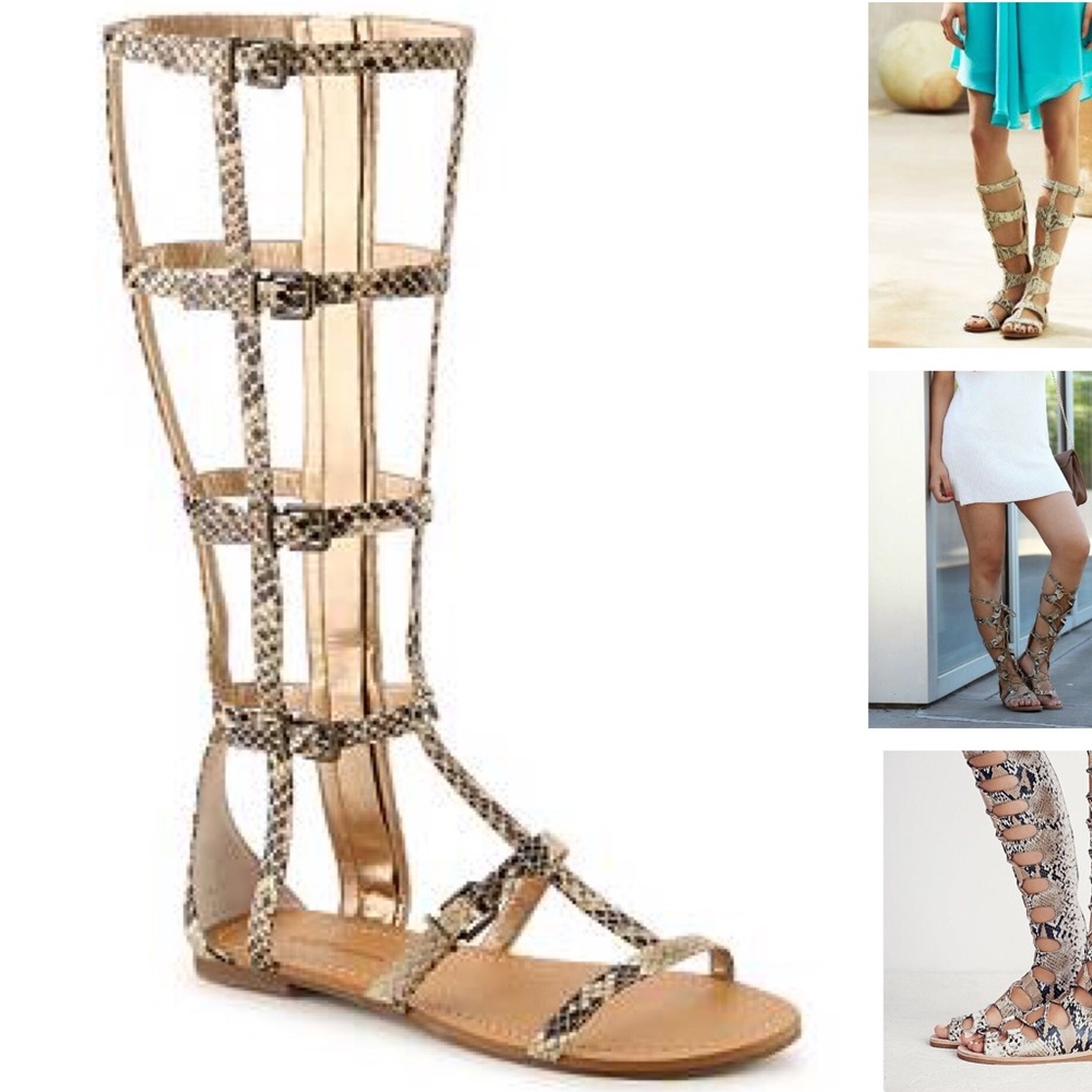 NEW BCBGeneration Snakeprint Gladiator Sandals