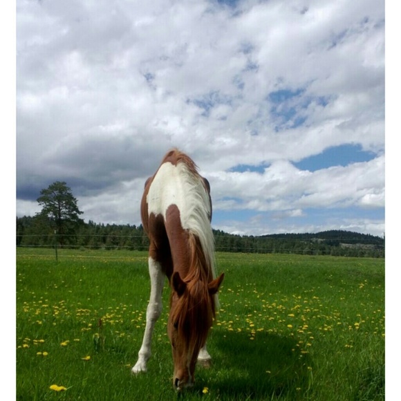 Meet your Posher, Kelly - Picture 3 of 3