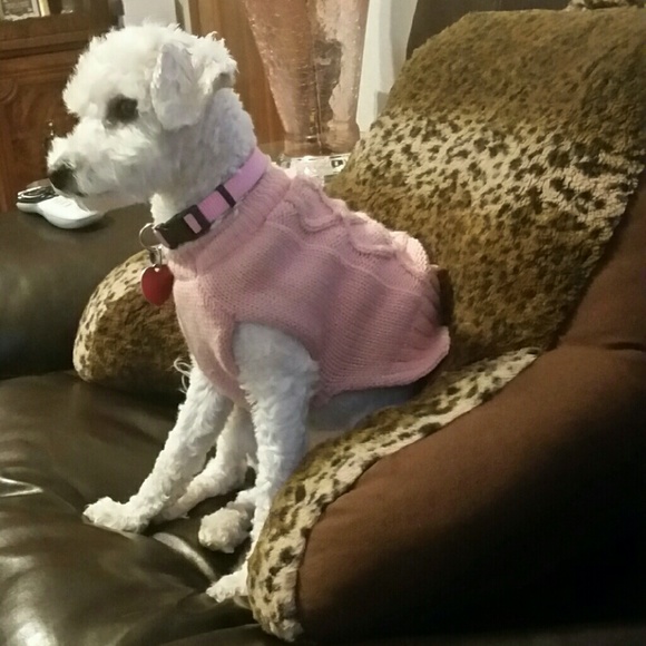 Meet your Posher, Patty - Picture 1 of 1