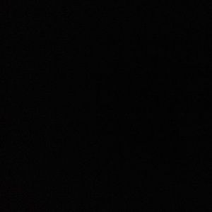 Meet your Posher, Daisy