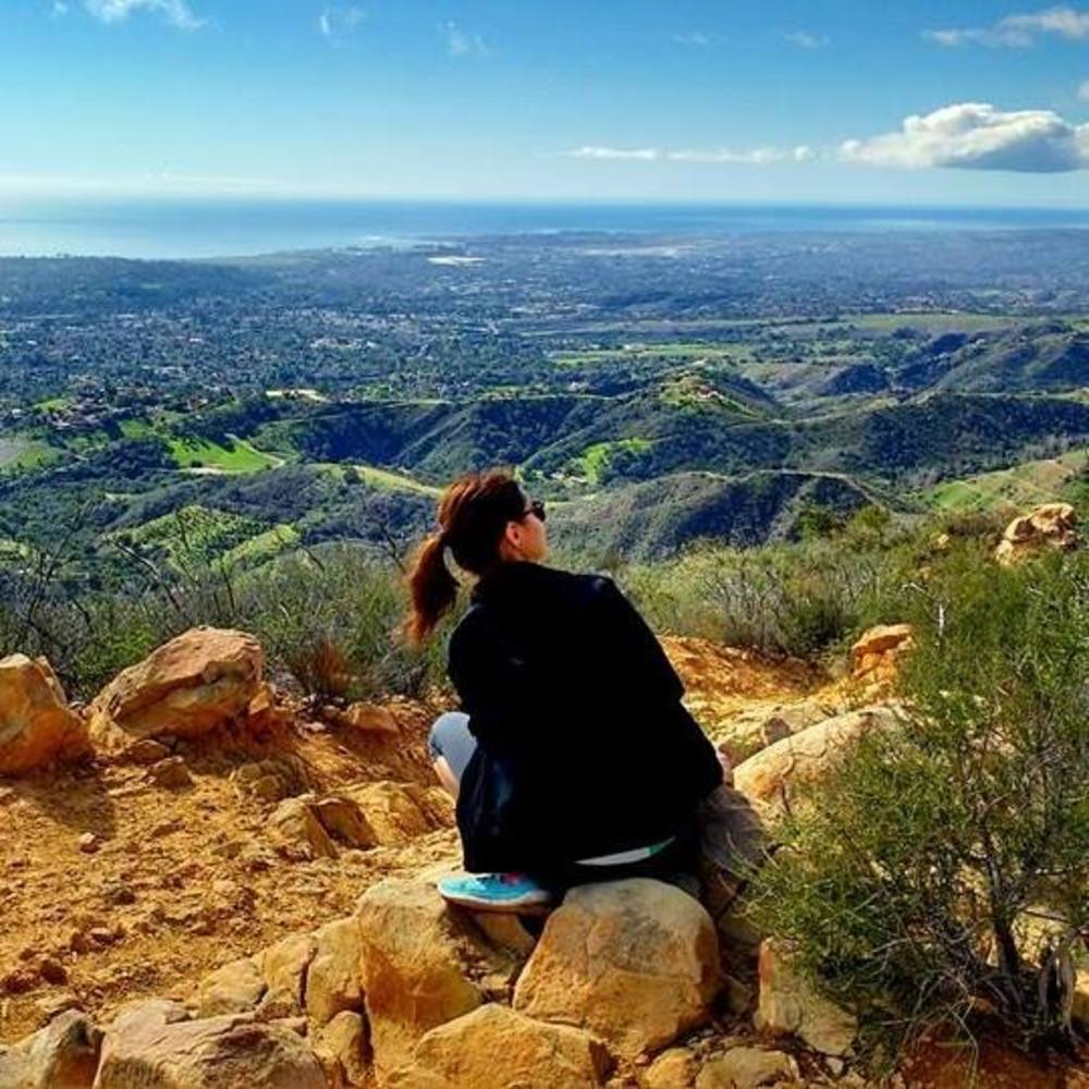 Meet your Posher, Daisy