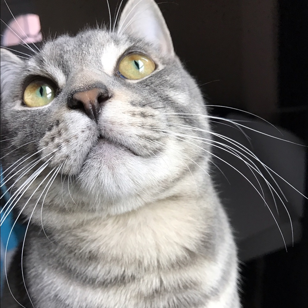 Meet your Posher, Marina