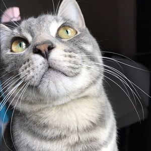 Meet your Posher, Marina