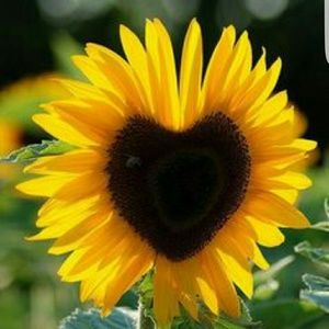 Meet your Posher, Edna