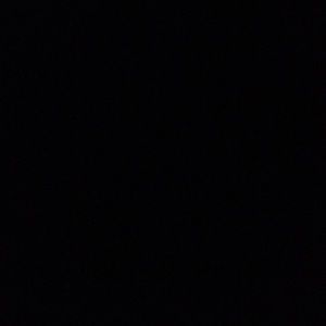 Meet your Posher, Dylan