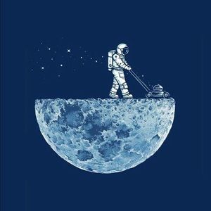 Meet your Posher, Bear