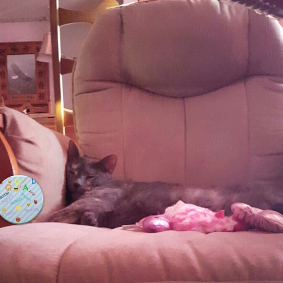 Meet your Posher, Sara - Picture 1 of 1