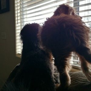 Meet your Posher, Tish