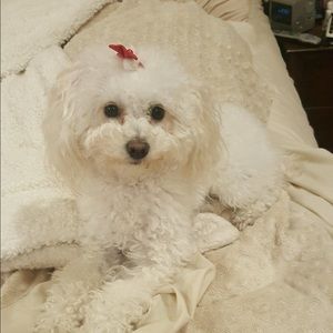 Meet your Posher, Meredith