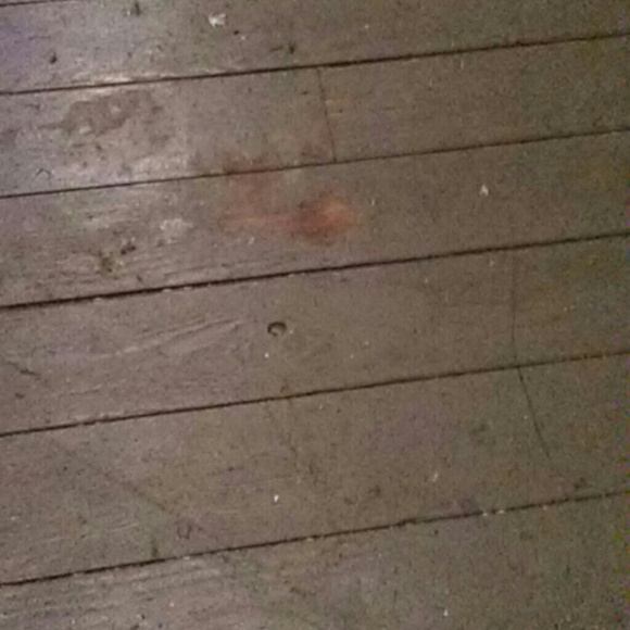 Meet your Posher, Dawn - Picture 1 of 1