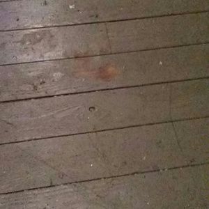 Meet your Posher, Dawn