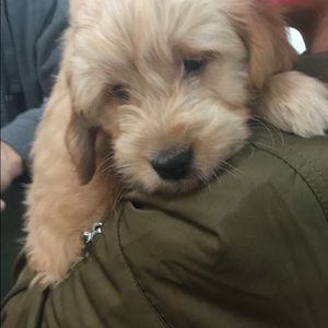 Meet your Posher, Denise