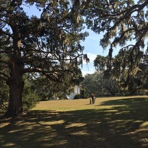 Meet your Posher, Elaine