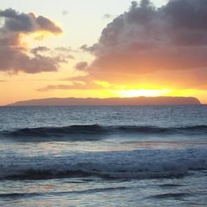 Meet your Posher, Dawn