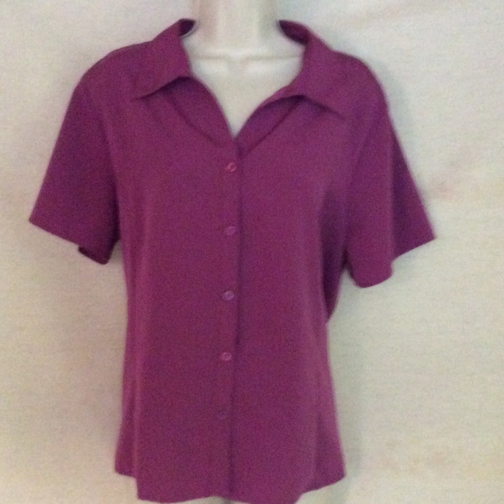 Silky Smooth Blouse
