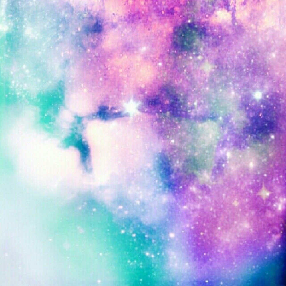 Meet your Posher, Bella