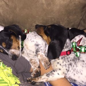 Meet your Posher, Chelsie