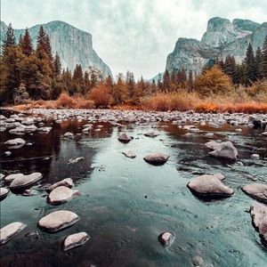 Meet your Posher, Frank